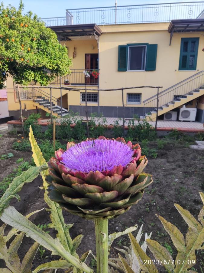 Bed & Breakfast Antoniet Neapol